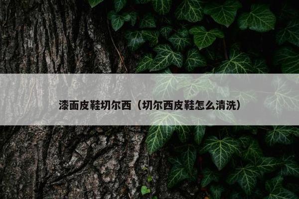 漆面皮鞋切尔西（切尔西皮鞋怎么清洗）
