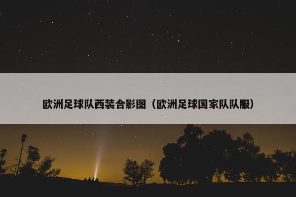 欧洲足球队西装合影图（欧洲足球国家队队服）