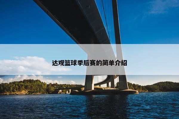 达观篮球季后赛的简单介绍