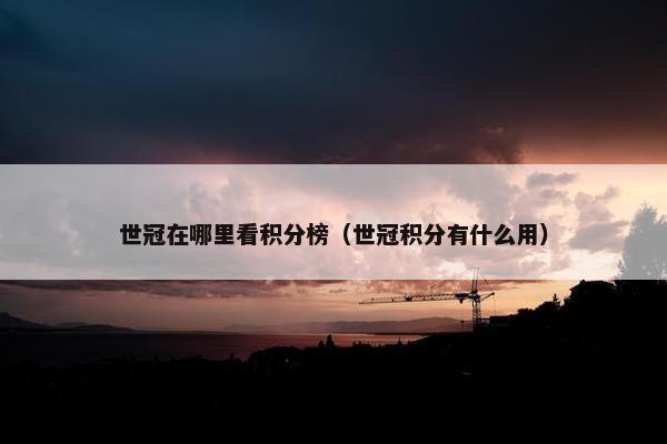 世冠在哪里看积分榜（世冠积分有什么用）