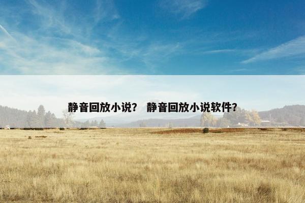 静音回放小说？ 静音回放小说软件？
