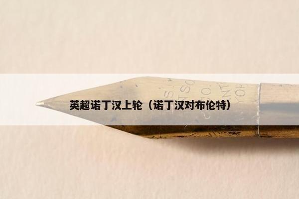 英超诺丁汉上轮（诺丁汉对布伦特）