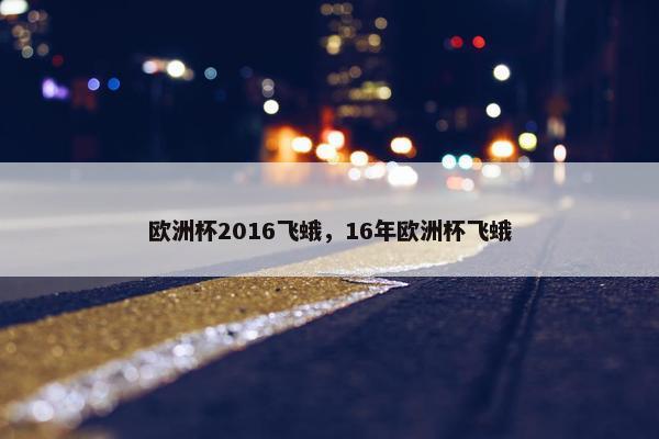 欧洲杯2016飞蛾，16年欧洲杯飞蛾