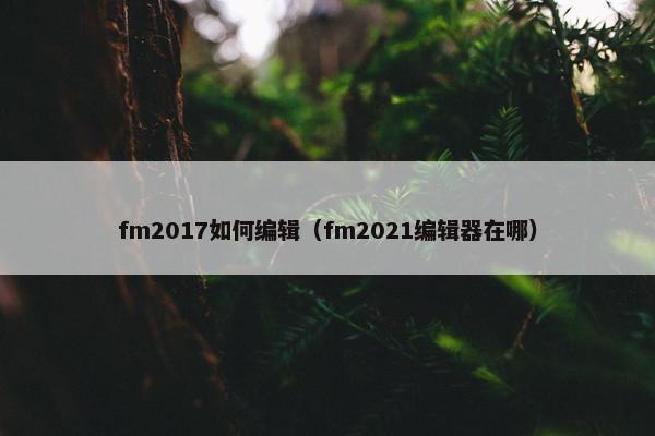 fm2017如何编辑（fm2021编辑器在哪）